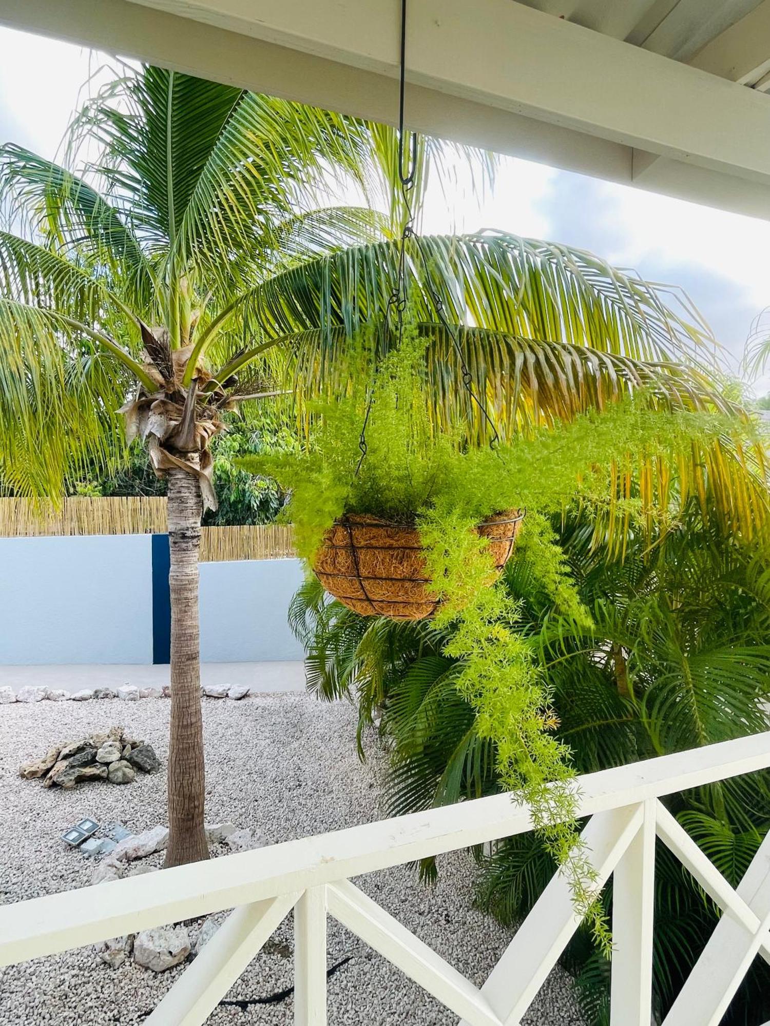 Mini Resort Kaya Verdi يلمستاد المظهر الخارجي الصورة