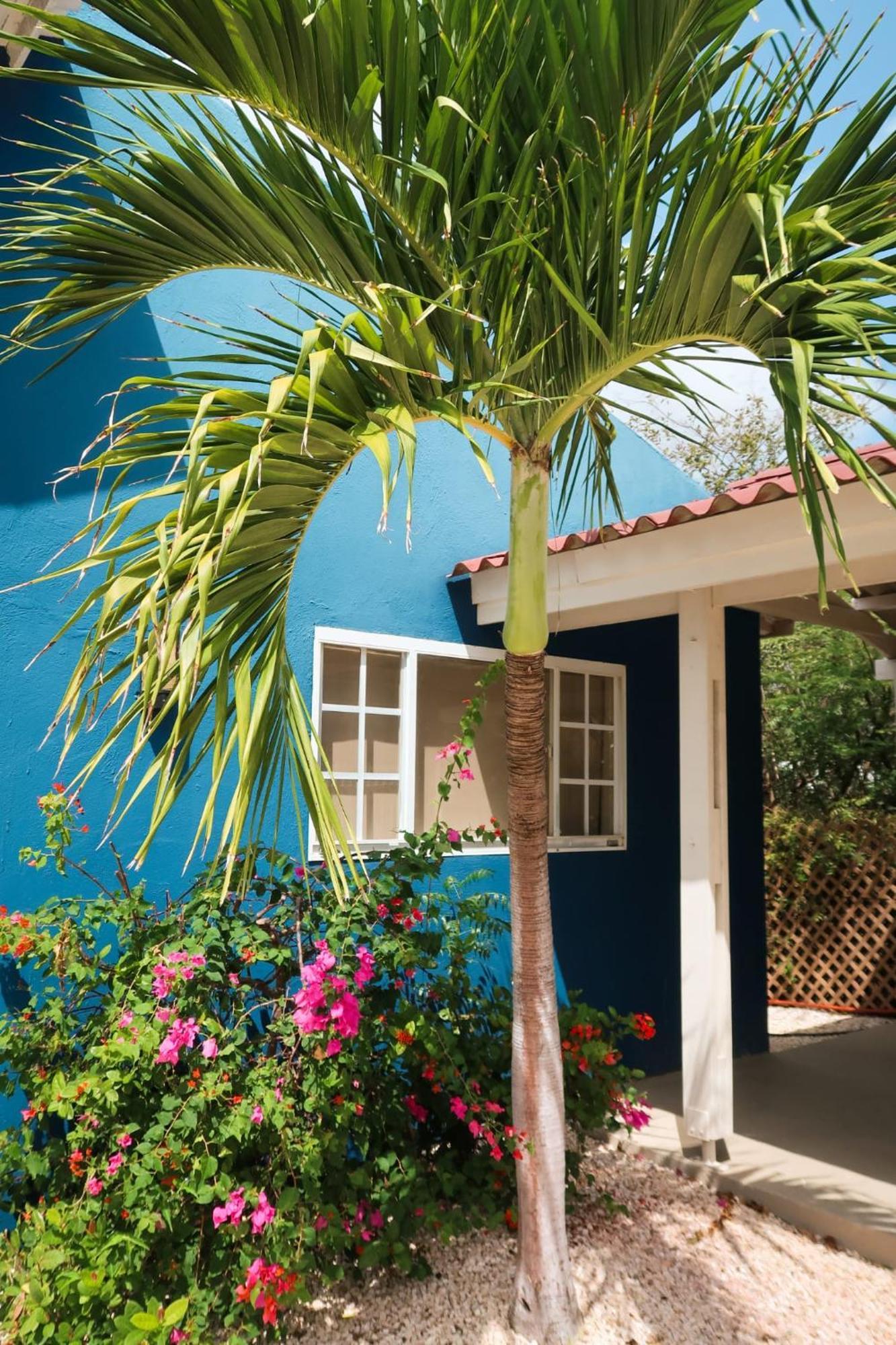 Mini Resort Kaya Verdi يلمستاد المظهر الخارجي الصورة